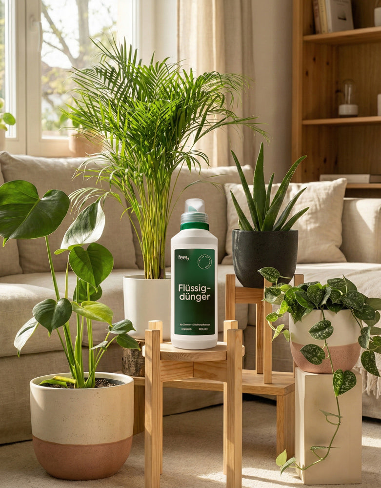Eine Flasche Flüssigdünger steht auf einem Holzständer, umgeben von gesunden Zimmerpflanzen in einem hellen Wohnzimmer mit einem Sofa und Holzregalen im Hintergrund.
