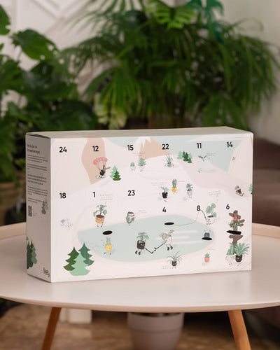 Weihnachts-Set