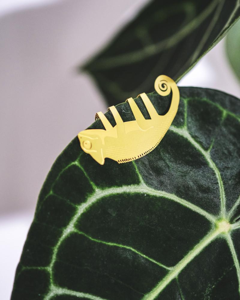 Messing-Chamäleon hängt an Blatt der Anthurium clarinervium