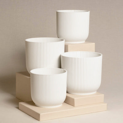Topfset (2 x 16, 2 x 14)