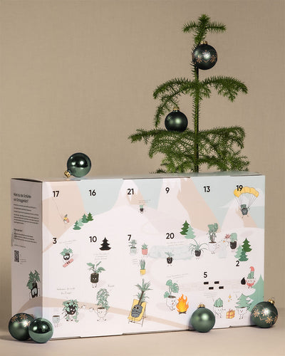 Weihnachts-Set