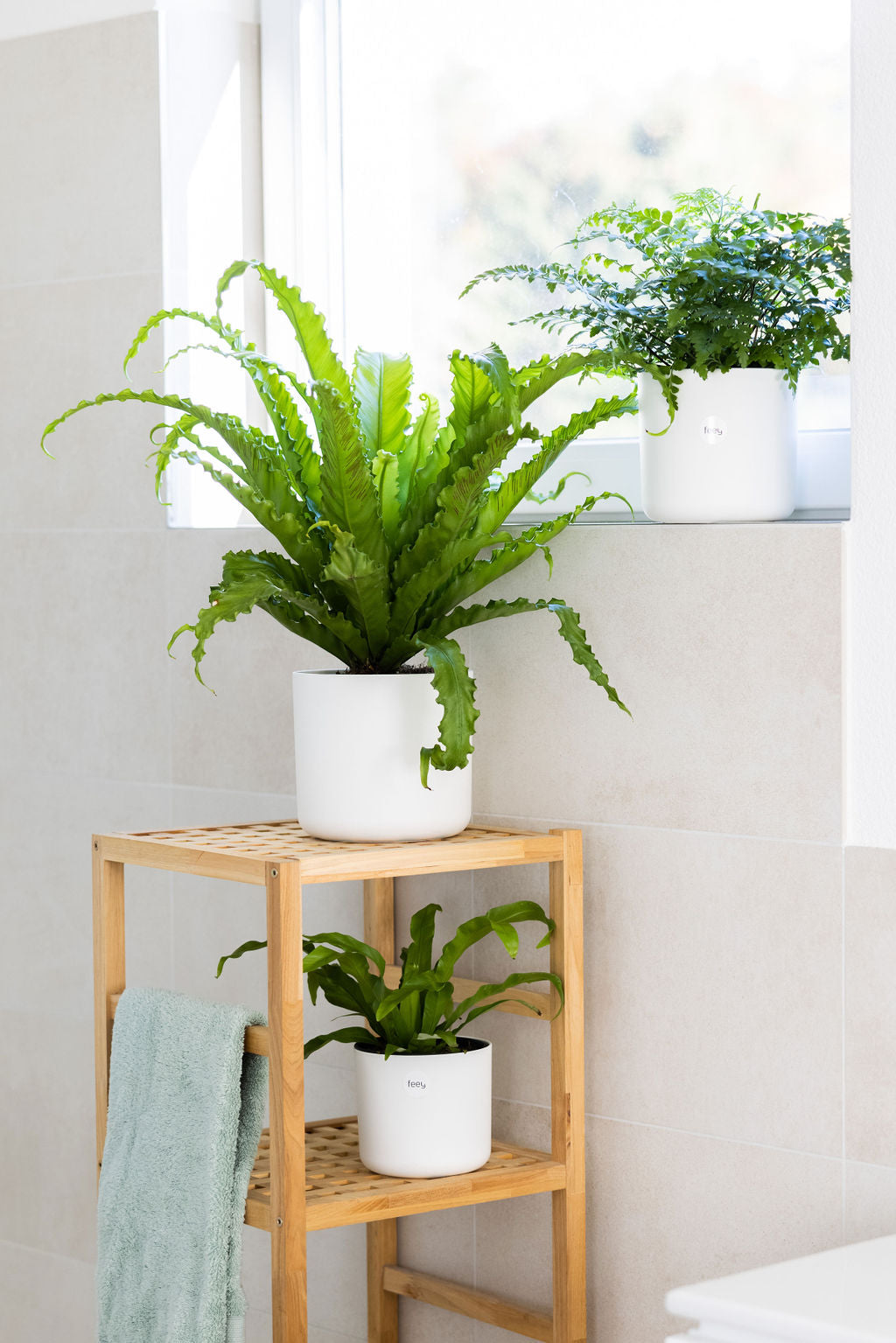 Badezimmer-Set