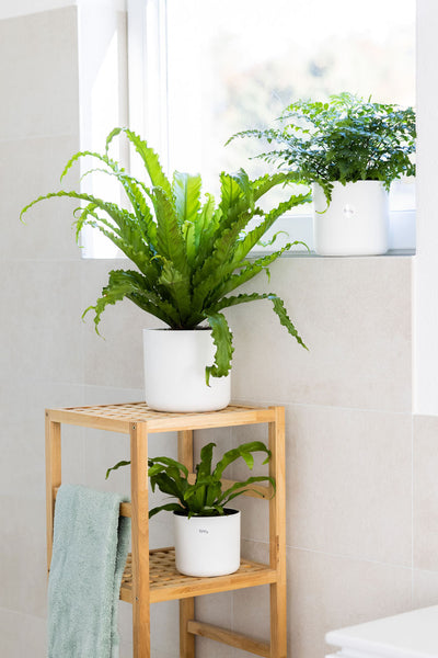 Badezimmer-Set