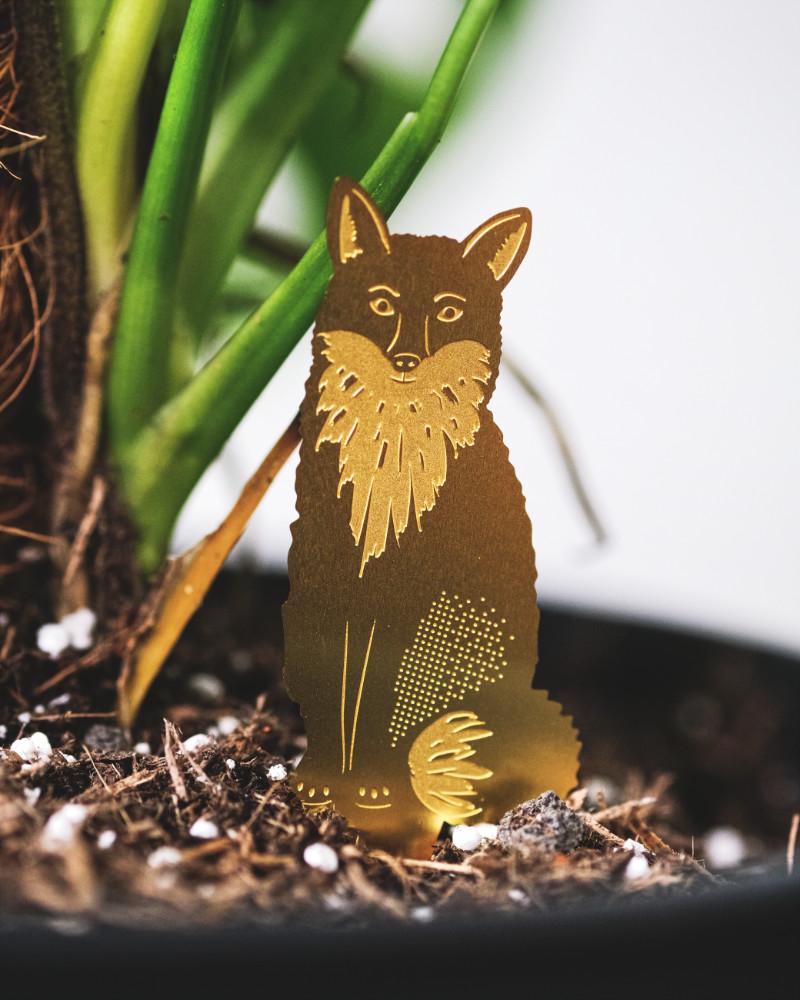 Goldener Messing-Fuchs sitzt in der Erde einer Zimmerpflanze
