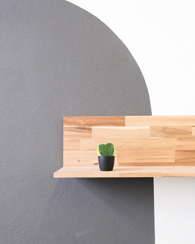 Panaschiertes Herzblatt in einem schwarzen Topf steht auf einem Holzregal an der Wand
