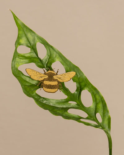 Hummel aus Messing auf einem Monstera-Blatt