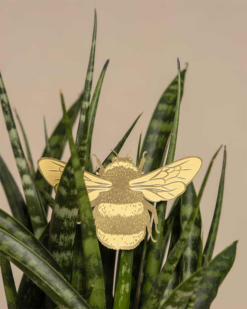 Hummel aus Messing auf einem Sansevieria-Blatt