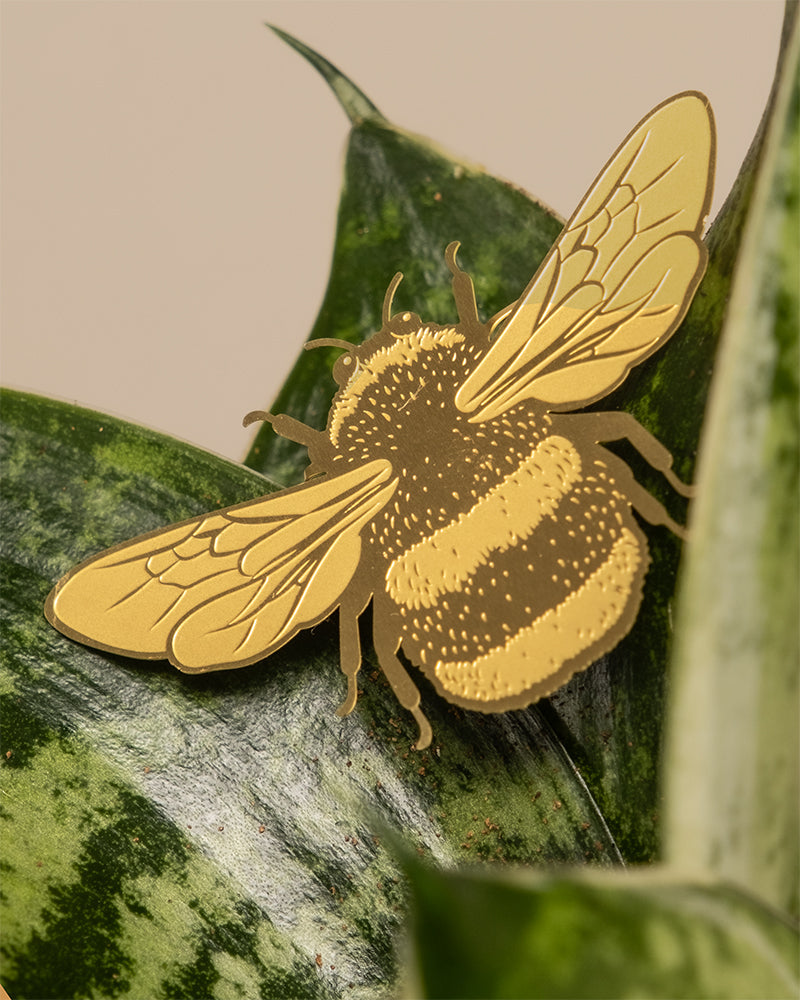 Pflanzenanhänger Hummel aus Messing auf einem Sansevieria-Blatt