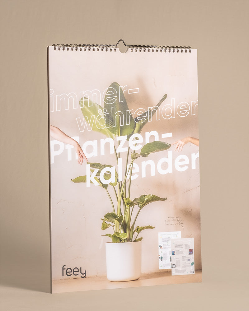 Ein Wandkalender mit einem Cover, auf dem eine Topfpflanze mit großen grünen Blättern abgebildet ist. Über dem Bild liegt ein Text, der teilweise lautet: „immer währender Pflanzenkalender“. Von beiden Seiten sind zwei Hände zu sehen, die nach der Pflanze greifen. Mit der Marke „feey“ ist dieser Pflanzenkalender ein perfektes Geschenk für Pflanzenfans.