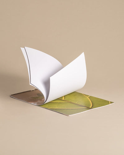 Ein aufgeschlagenes Notizbuch mit beigem Einband liegt auf einer beigen Oberfläche. Die Seiten rollen sich auf und geben den Blick auf die Innenseite frei, auf der ein grünes Blatt in Großaufnahme abgebildet ist – perfekt als Pflanzenkalender. Das spiralgebundene Design passt zu jedem Zimmerpflanzenliebhaber, und der schlichte Hintergrund passt zur beigen Oberfläche.