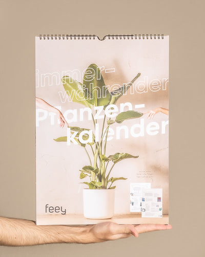 Eine Hand hält einen Pflanzenkalender mit einer grünen Topfpflanze vor hellem Hintergrund. Der Text auf dem Cover lautet „immerwährender Pflanzenkalender“ in weißer, moderner Schrift. Zwei kleine Postkarten bzw. Einleger sind ebenfalls auf dem Kalender abgebildet. Der Firmenname „feey“ steht unten und macht ihn zum idealen Geschenk für Pflanzenfans.