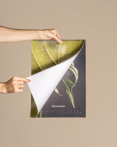 Eine Hand hält einen Pflanzenkalender, der für den Monat März aufgeschlagen ist und ein Blatt in Nahaufnahme zeigt. Perfekt als Geschenk für Pflanzenfans, blättert die Hand um und enthüllt November. Der Hintergrund ist schlicht und beige.