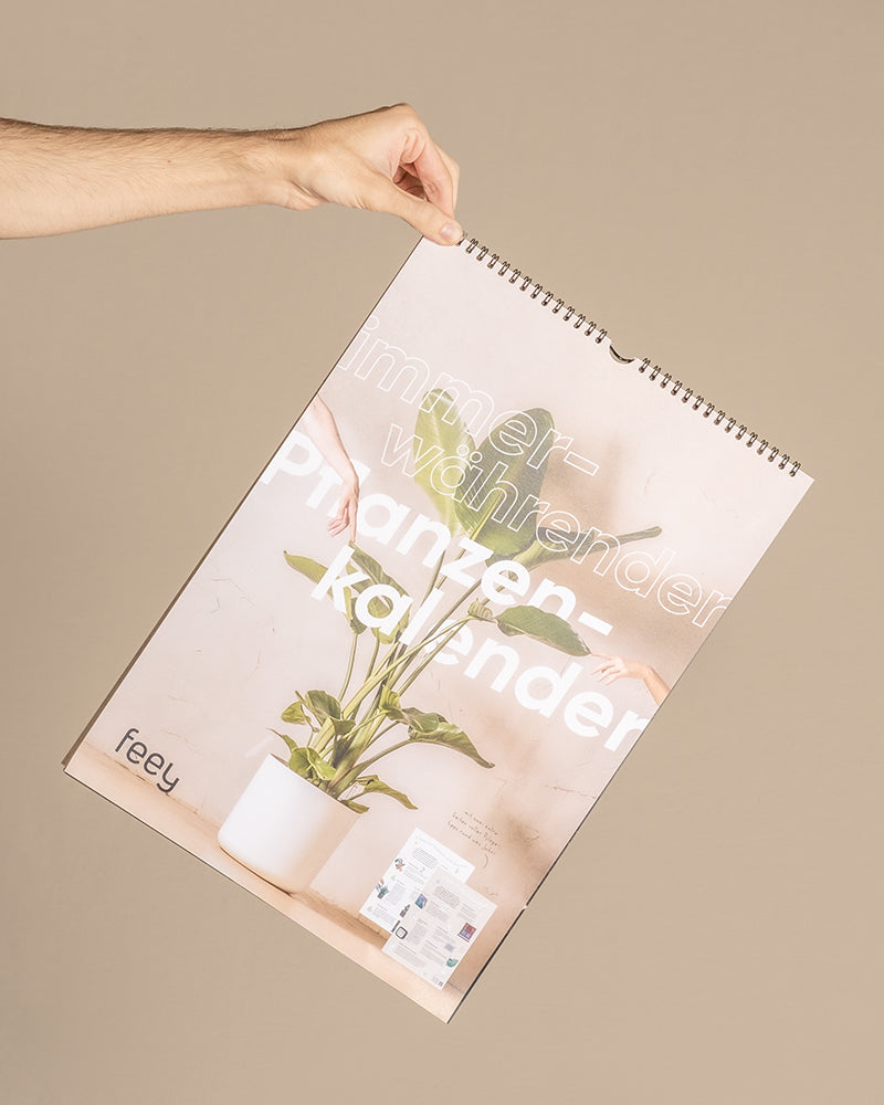 Eine Hand hält einen spiralgebundenen Kalender mit einem Titelbild einer weißen Topfpflanze hoch. Auf dem Cover steht in großen Buchstaben „immer-währender Pflanzenkalender“ und darunter eine kleine Collage aus Bildern und das Wort „feey“. Dieser Pflanzenkalender ist das perfekte Geschenk für Pflanzenfans.
