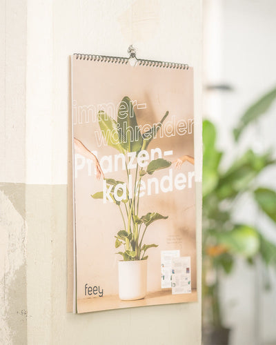 Ein an der Wand befestigter Pflanzenkalender zeigt auf seinem Cover eine Topfpflanze. Der Text „immerwährender Pflanzenkalender“ ist deutlich zu erkennen und macht ihn zum perfekten Geschenk für Pflanzenfans. Der Markenname „feey“ ist unten zu sehen. Im Hintergrund trägt eine verschwommene grüne Pflanze zur natürlichen Atmosphäre der Szene bei.