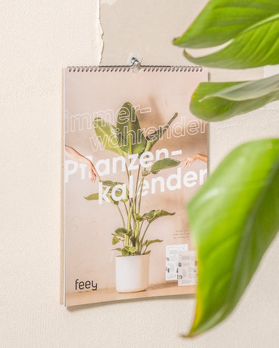 Ausgestellt ist ein Wandkalender mit dem Titel „Pflanzenkalender“ von Feey. Auf der Titelseite ist eine Topfpflanze auf einem Holztisch abgebildet, perfekt als Geschenk für Pflanzenfans. Im Vordergrund rechts ist ein großes Pflanzenblatt zu sehen.