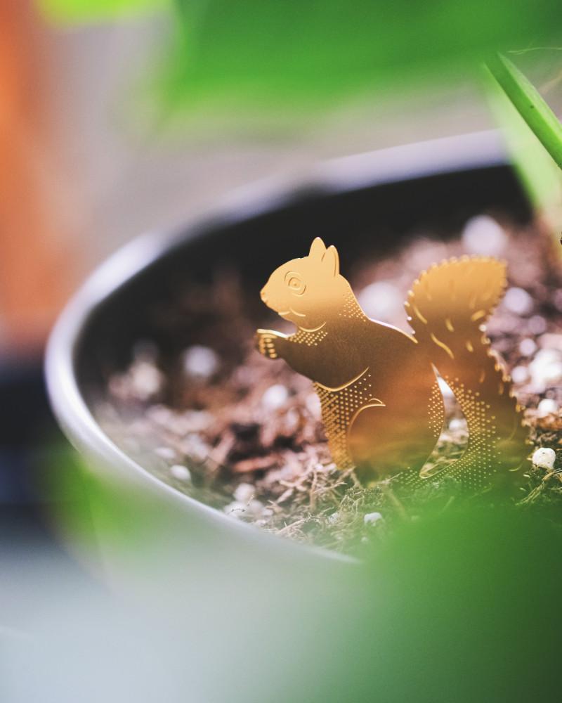 Tierische Pflanzenhänger