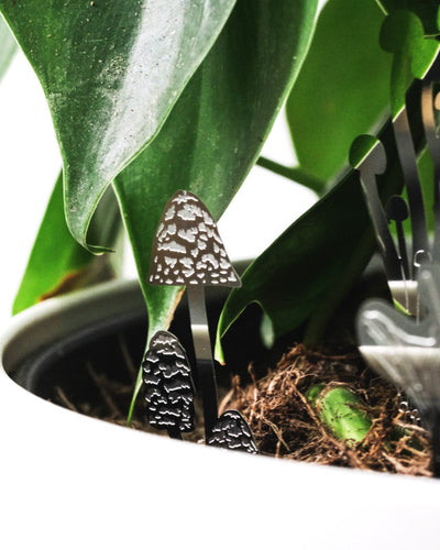 Mini-Pilz aus Stahl vor dem Blatt eines Philodendrons