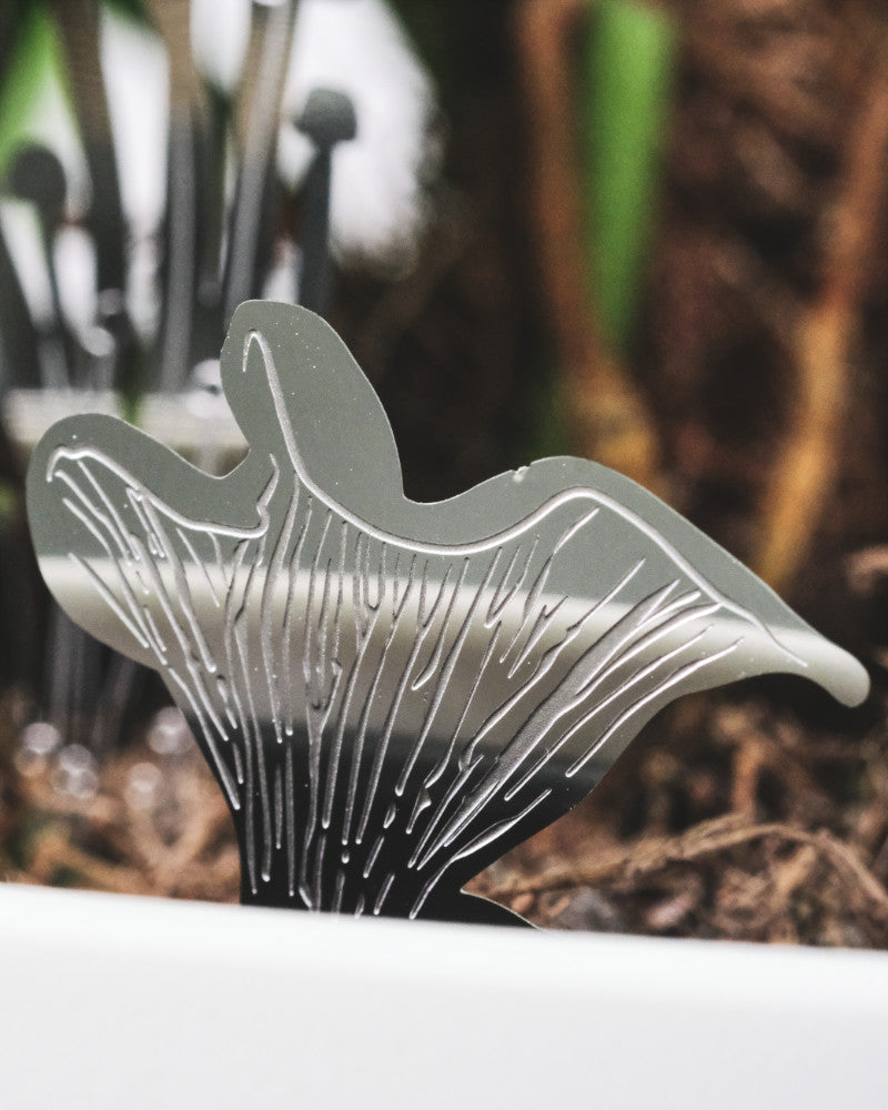 Mini-Pilz aus Stahl steckt in einem Topf