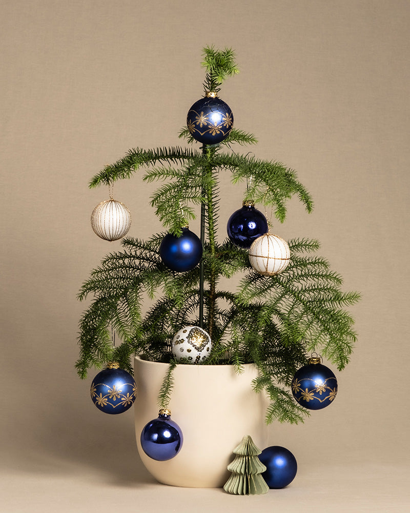 von feey: im feey GmbH 🌲 – Weihnachtsbaum nachhaltiger Zimmertanne Topf
