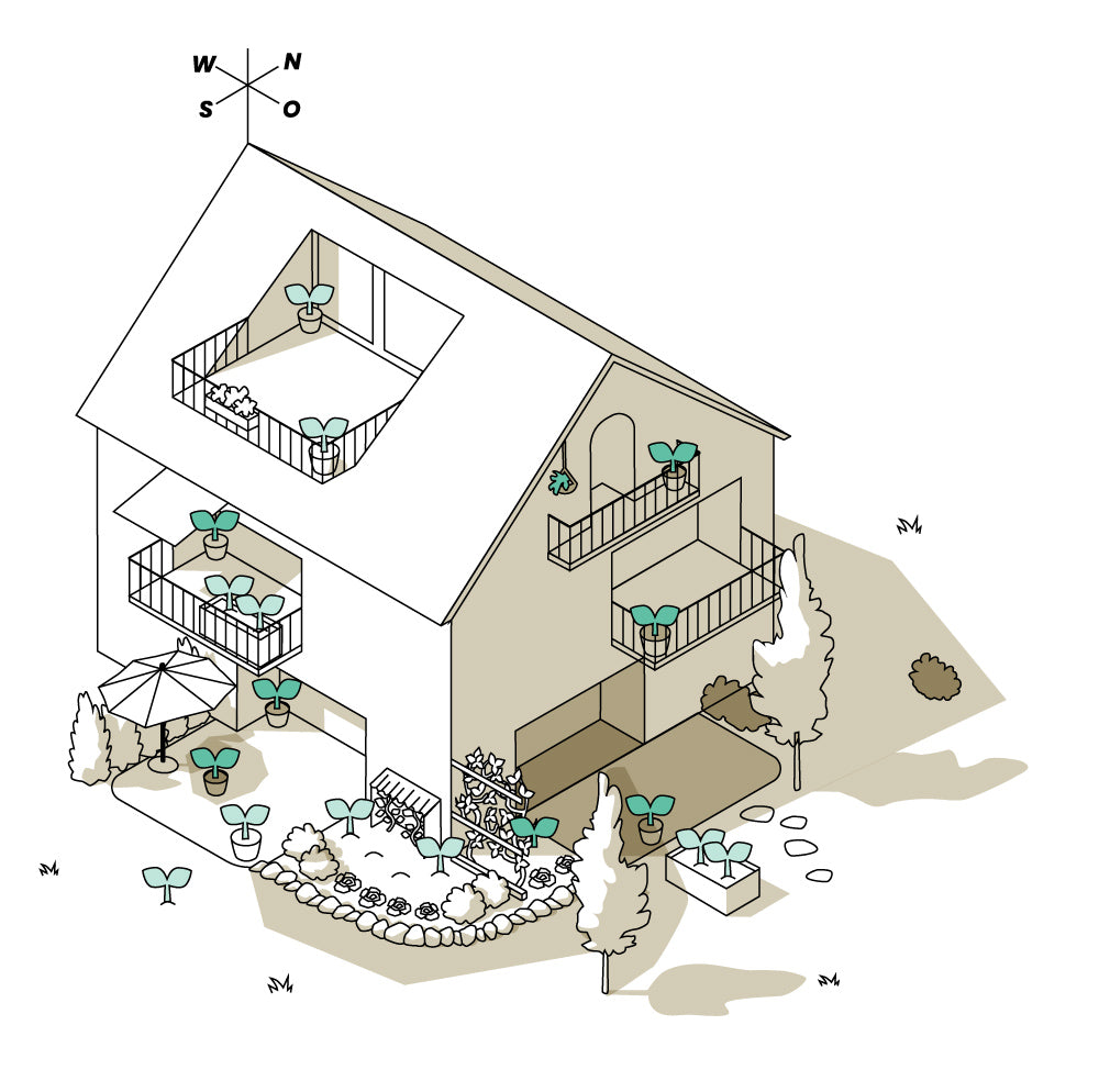  Illustration für sonnige bis halbschattige Standorte: Haus mit Balkone und Gärten im Osten und Süden.