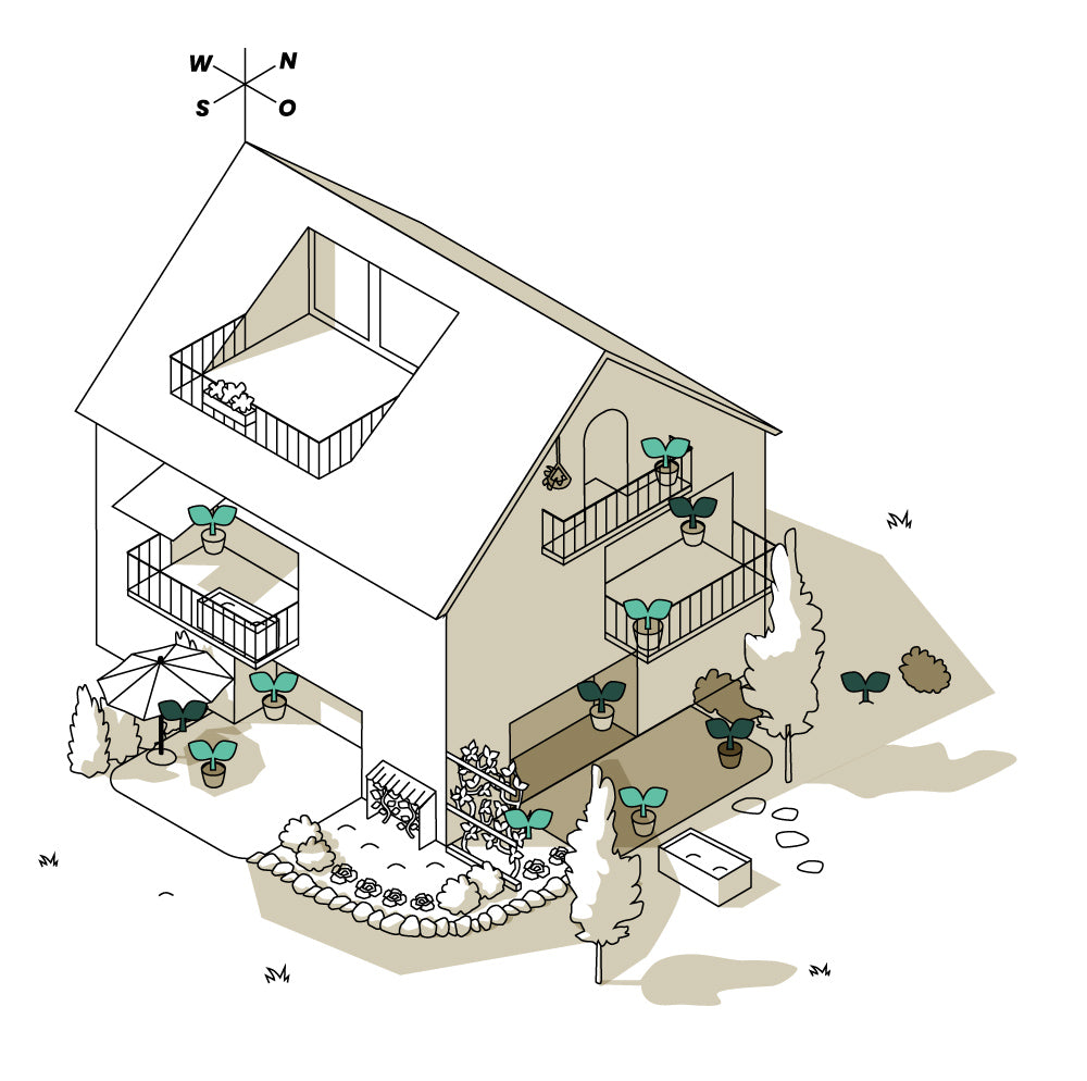 Illustration für halbschattige bis schattige Standorte: Haus mit Balkone und Gärten im Osten und Süden.