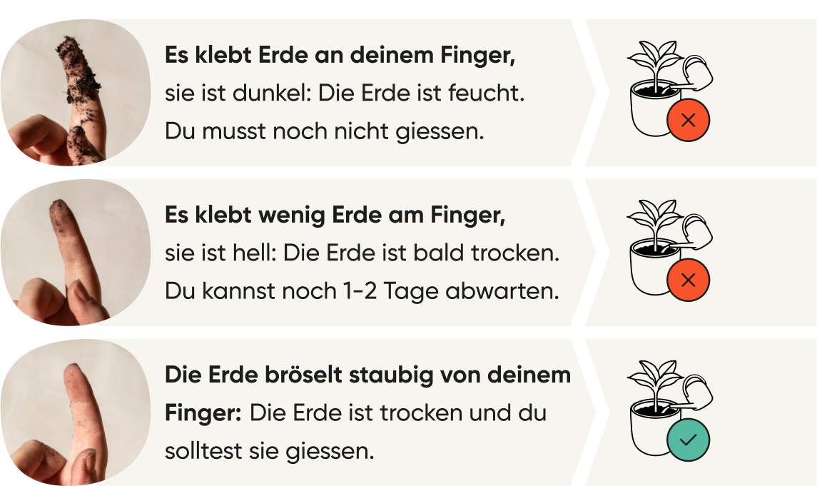 Grafische Erklärung, wie der Fingertest vor dem Giessen funktioniert, mit Illustrationen und Fotos.