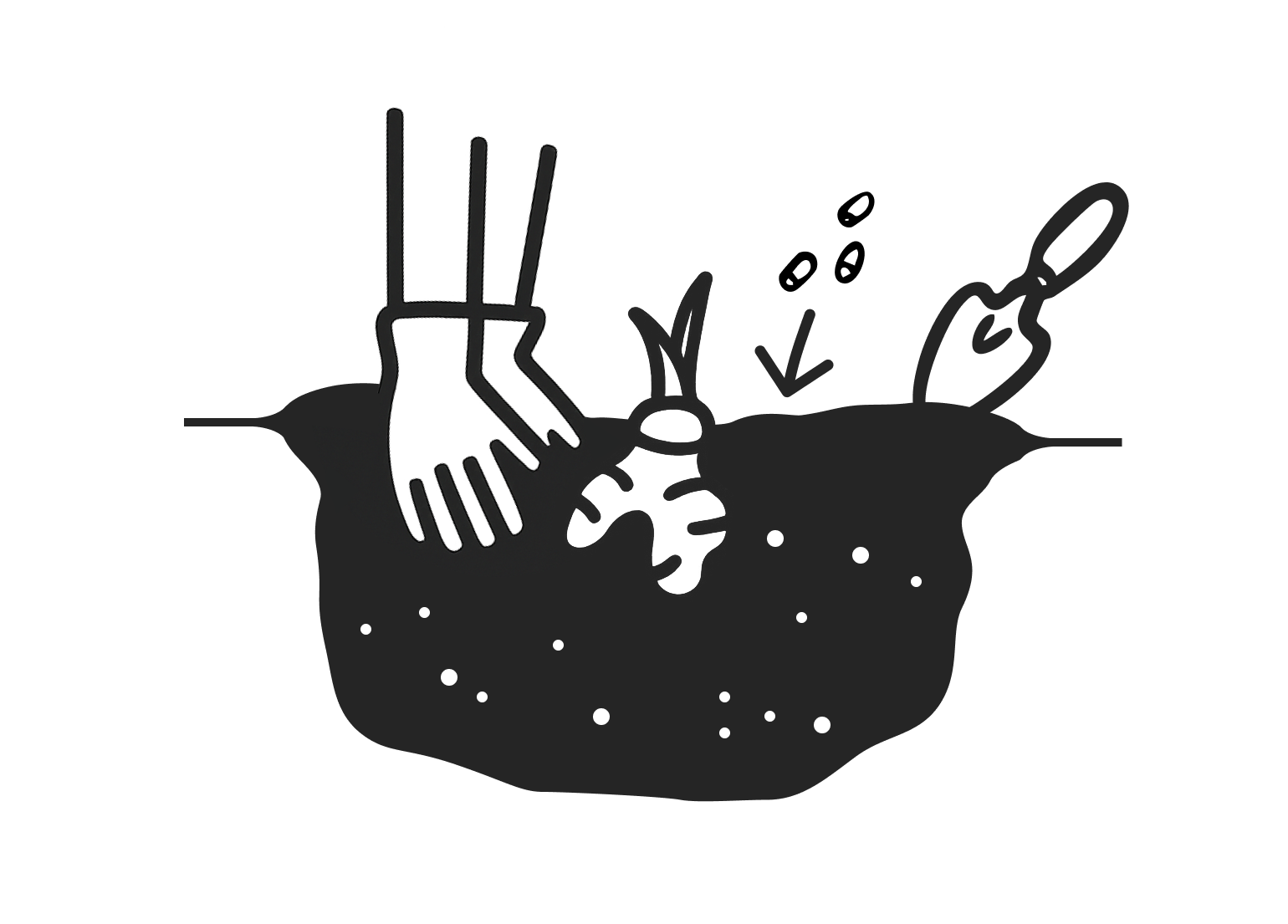 Erde düngen Illustration: Eingepflanzte Hosta wird mit Pellets gedüngt.