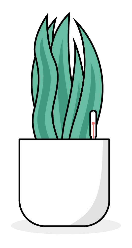 Illustration: Große Sansevieria (Schwiegermutterzunge/Bogenhanf) in einem Topf mit Wasserstandsanzeiger.