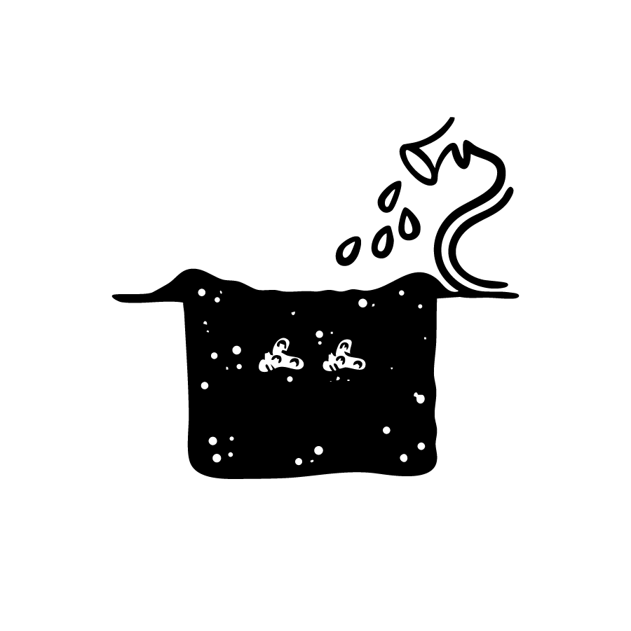 Illustration: Frisch gepflanztes Rhizom gießen.