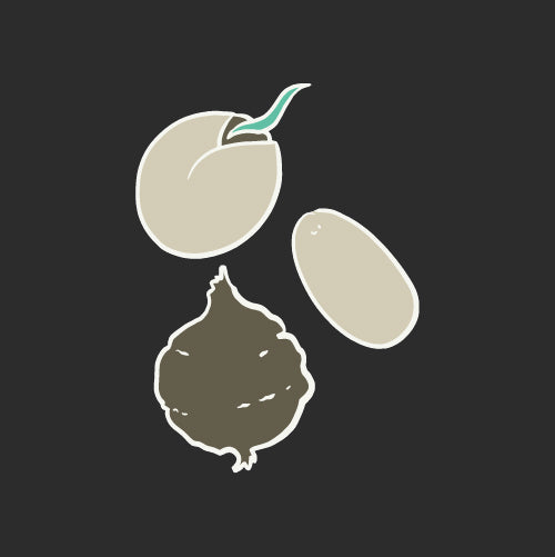 Zeichenfläche 2 Kopie-100.jpg__PID:ffbedacc-ec43-45bd-a204-5a7a35a286ce