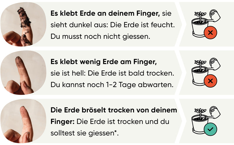 fingertest_grafik.jpg__PID:9b301f0d-4fef-4ad0-b75a-06c7c22c405b