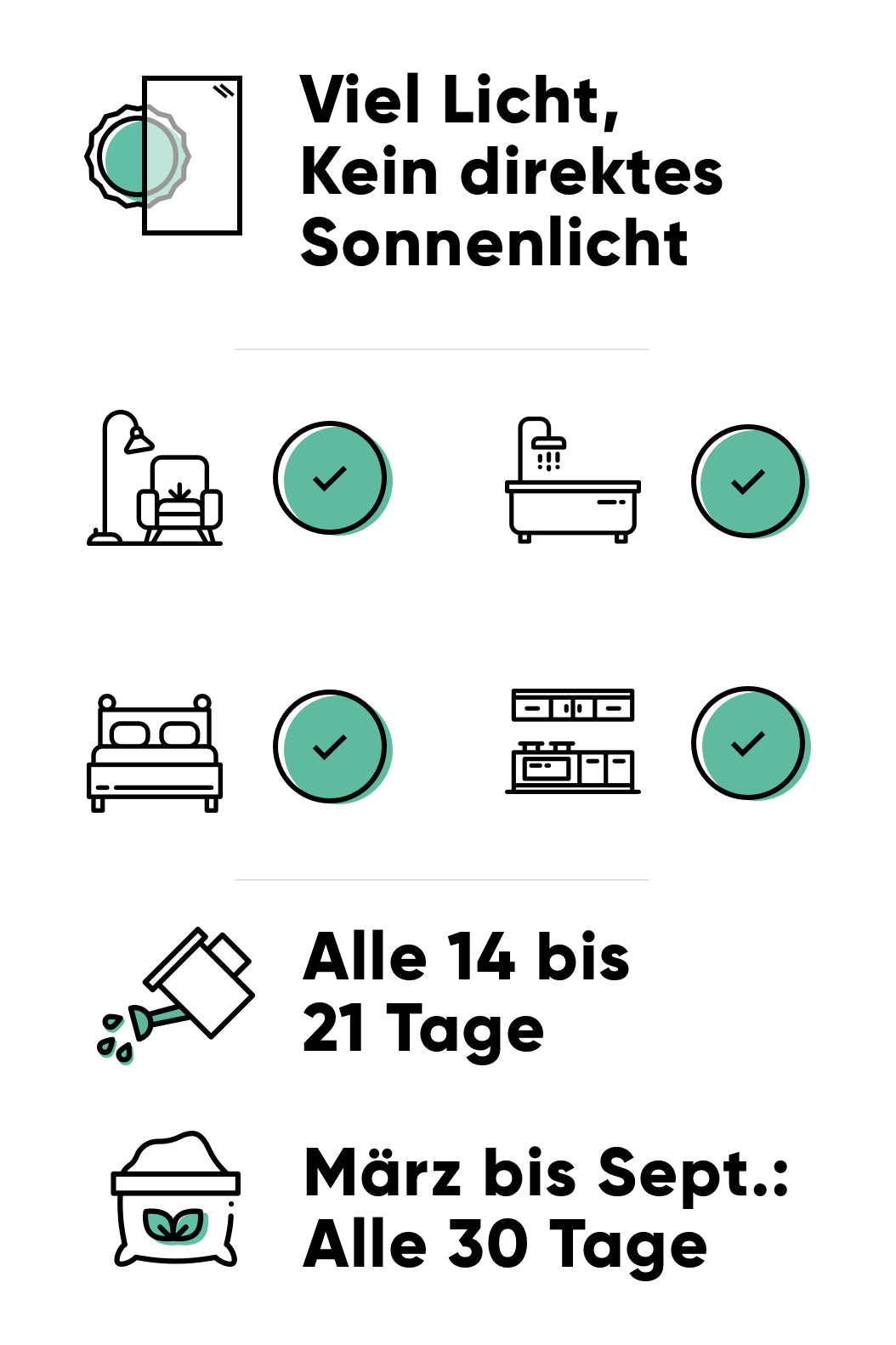 Pflege der Aloe tiki zilla Pflege der Aloe tiki zilla: viel Licht, alle 14 bis 21 Tage giessen, März bis September alle 30 Tage düngen