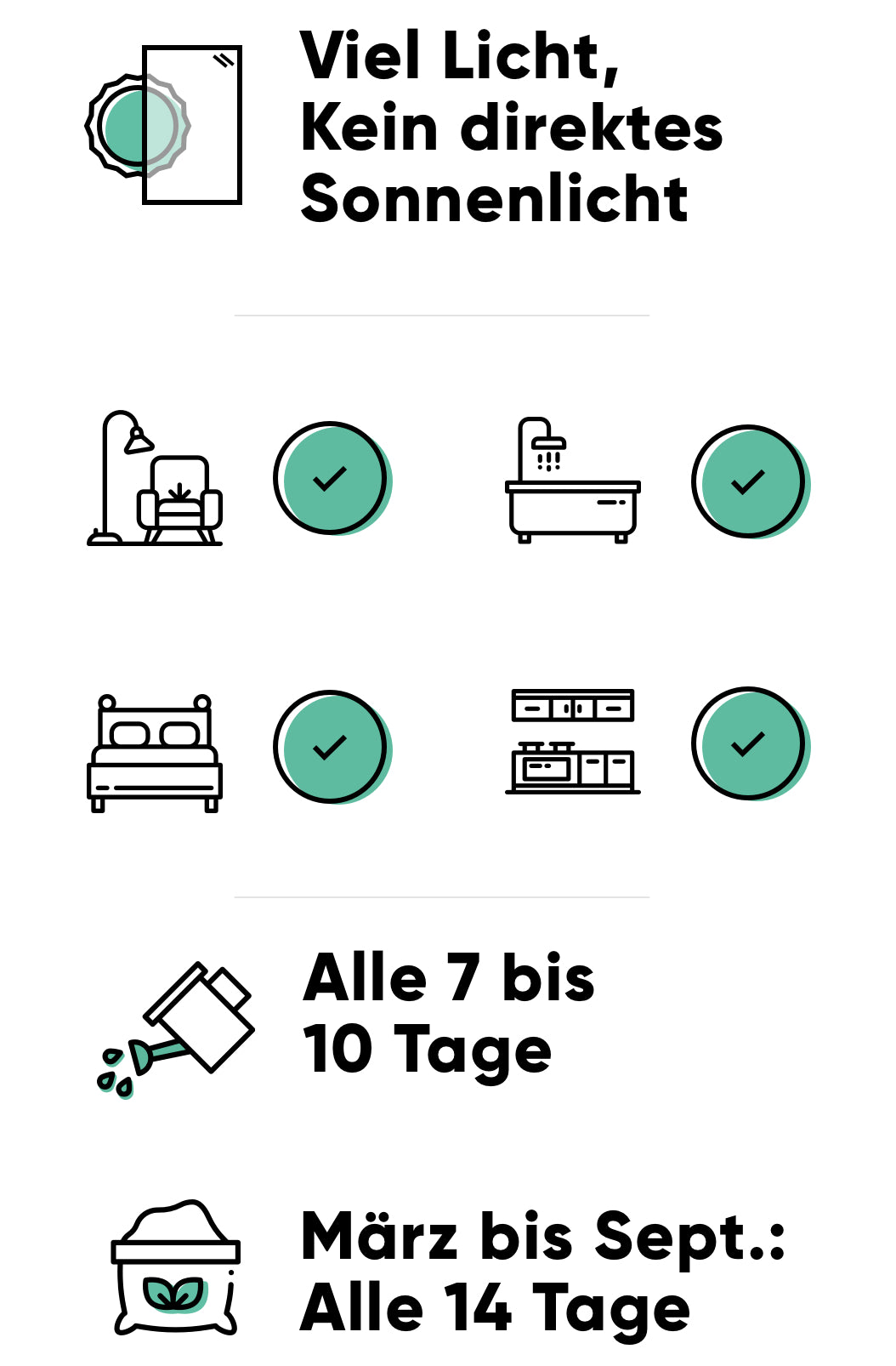 Pflege des Wunderstrauchs Pflege des Wunderstrauchs: viel Licht, alle 7-10 Tage giessen, im Frühling und Sommer alle 14 Tage düngen