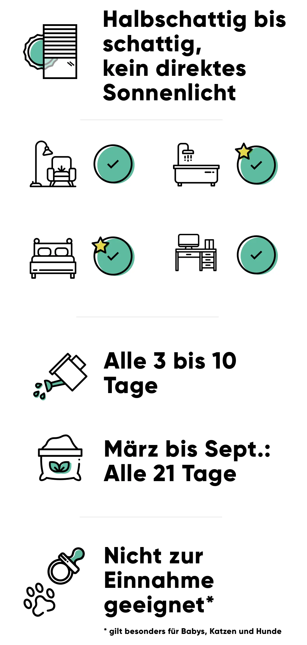 Pflege der Begonie Pflege der Begonie: halbschattig bis schattig, alle 3-10 Tage giessen, im Frühling und Sommer alle 3 Wochen düngen