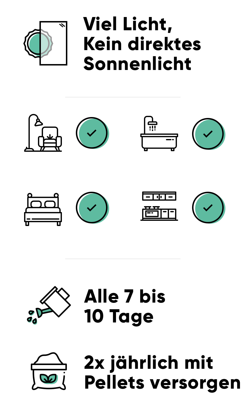 Pflege der Clusia Pflege der Clusia: viel Licht, alle 7-14 Tage giessen, 2x jährlich mit Dünger-Pellets düngen