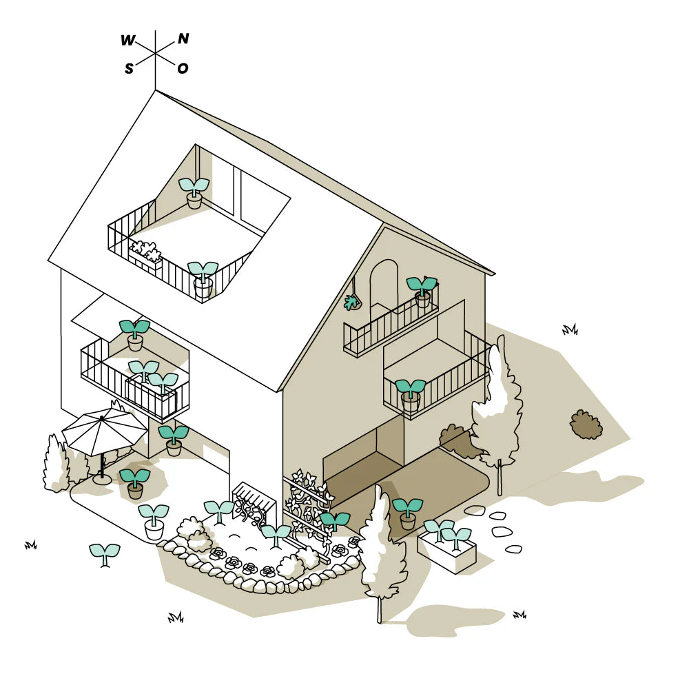 Illustration für mögliche Standorte für Rispenhortensien auf Balkon und im Garten