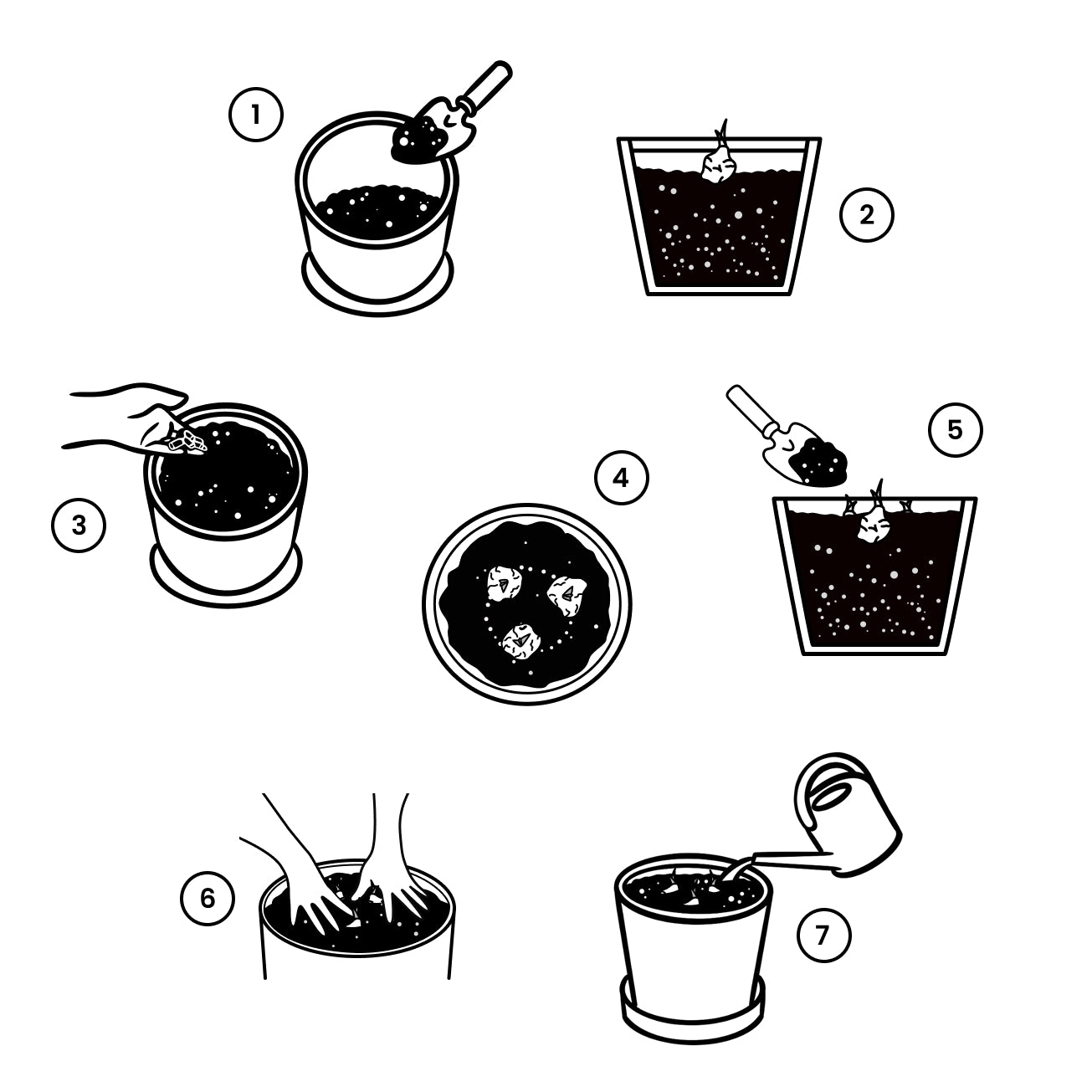 Schritt-für-Schritt-Anleitung mit Illustrationen, wie du deine Erdbeere als Wurzelstock eintopfst.