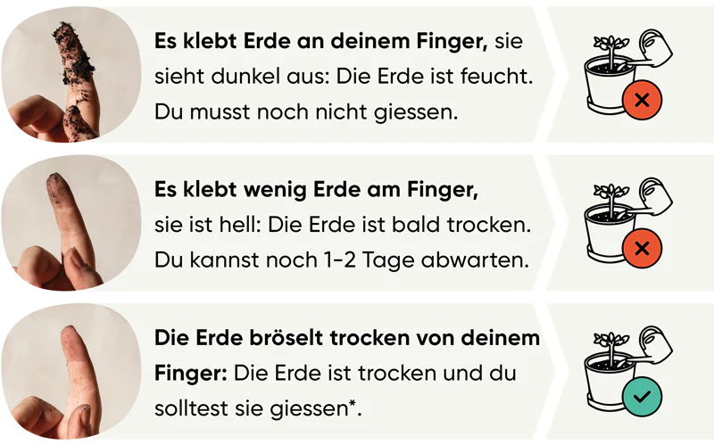 Grafische Darstellung, wie du den Fingertest anwendest.