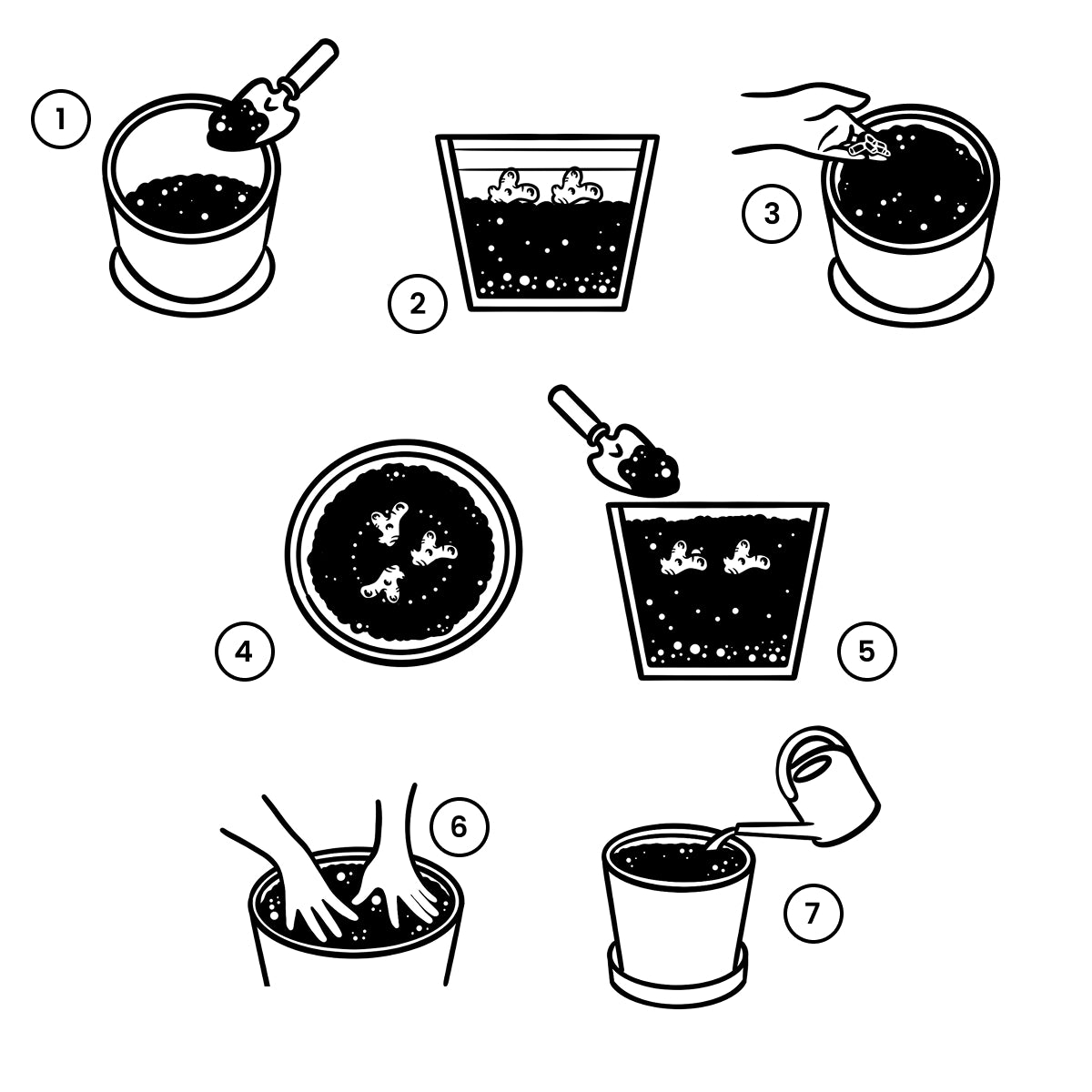 Schritt-für-Schritt-Anleitung mit Illustrationen, wie du deine Geranium als Rhizom eintopfst.