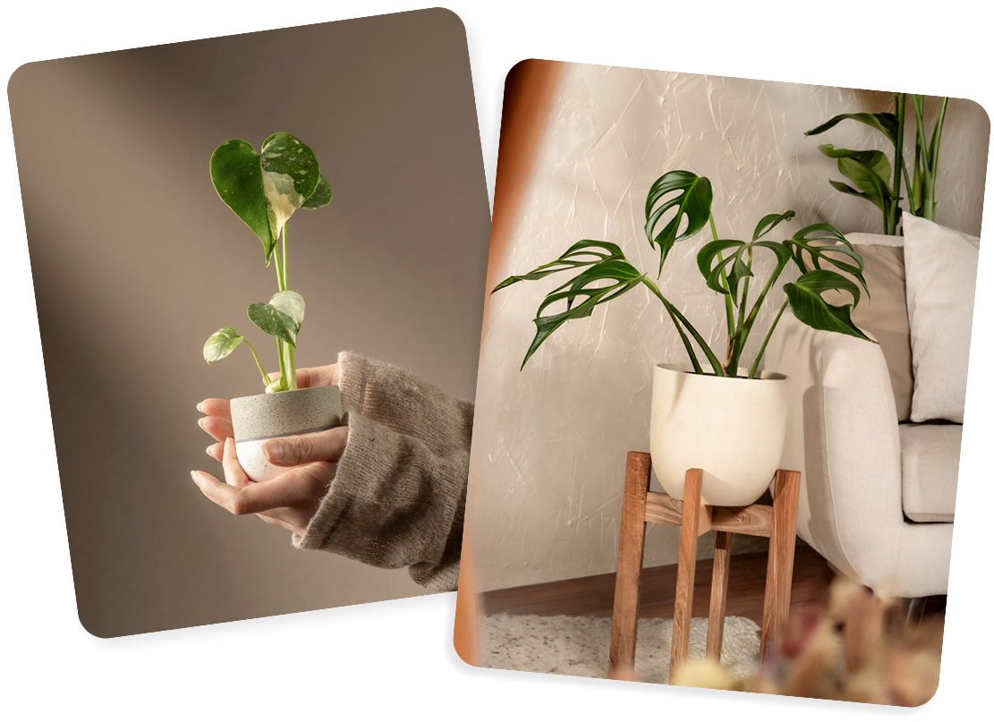 Group 18.png__PID:2eed0d88-14f3-4052-8f76-9f076b5f99f2
