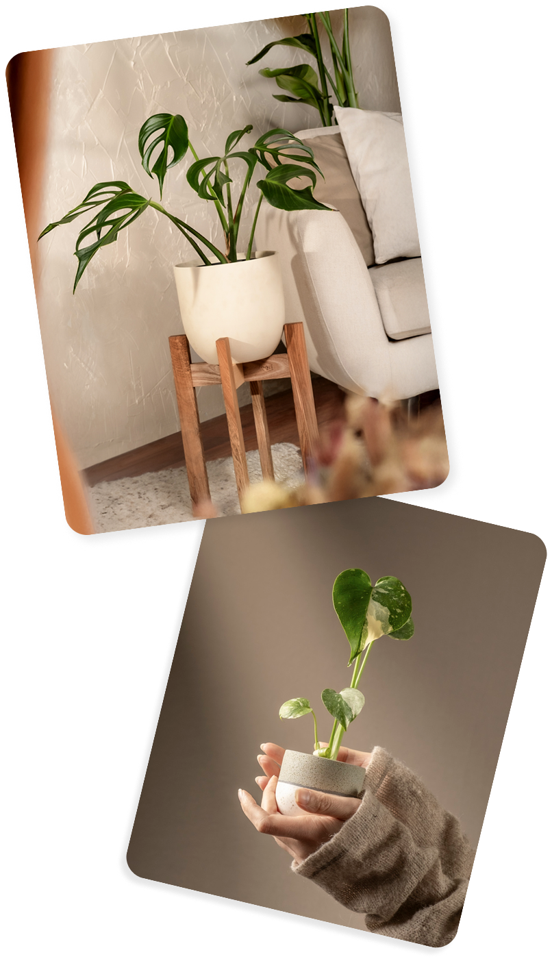 Group 19.png__PID:ed0d8814-f3a0-420f-b69f-076b5f99f273