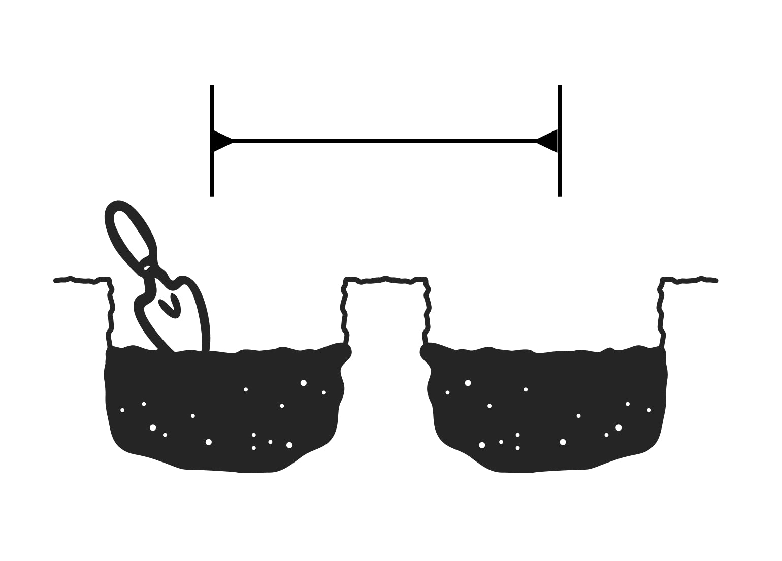 Grabe jeweils ein Loch pro Rhizom Illustration: Zwei Löcher, die im Abstand von 40-50 cm für die Hemerocallis gegraben wurden.