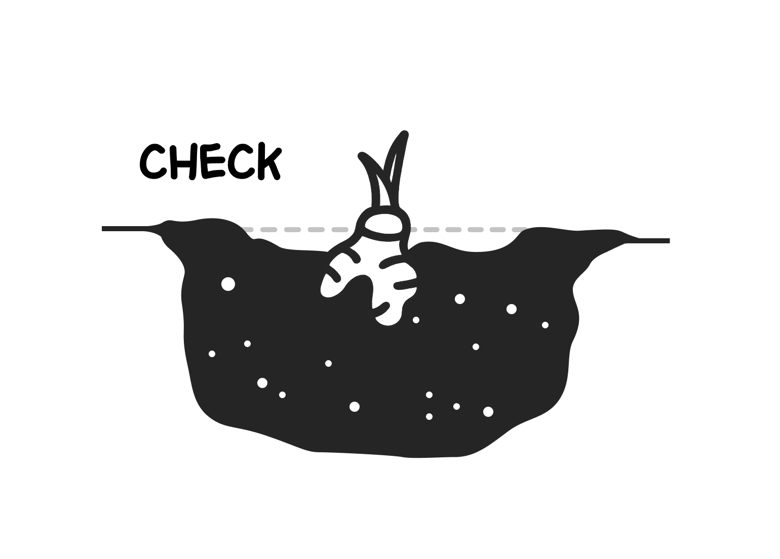 Pflanztiefe der Erdbeere prüfen Illustration: Wurzelstock der Erdbeere provisorisch in die Erde legen, um die Höhe zu testen.