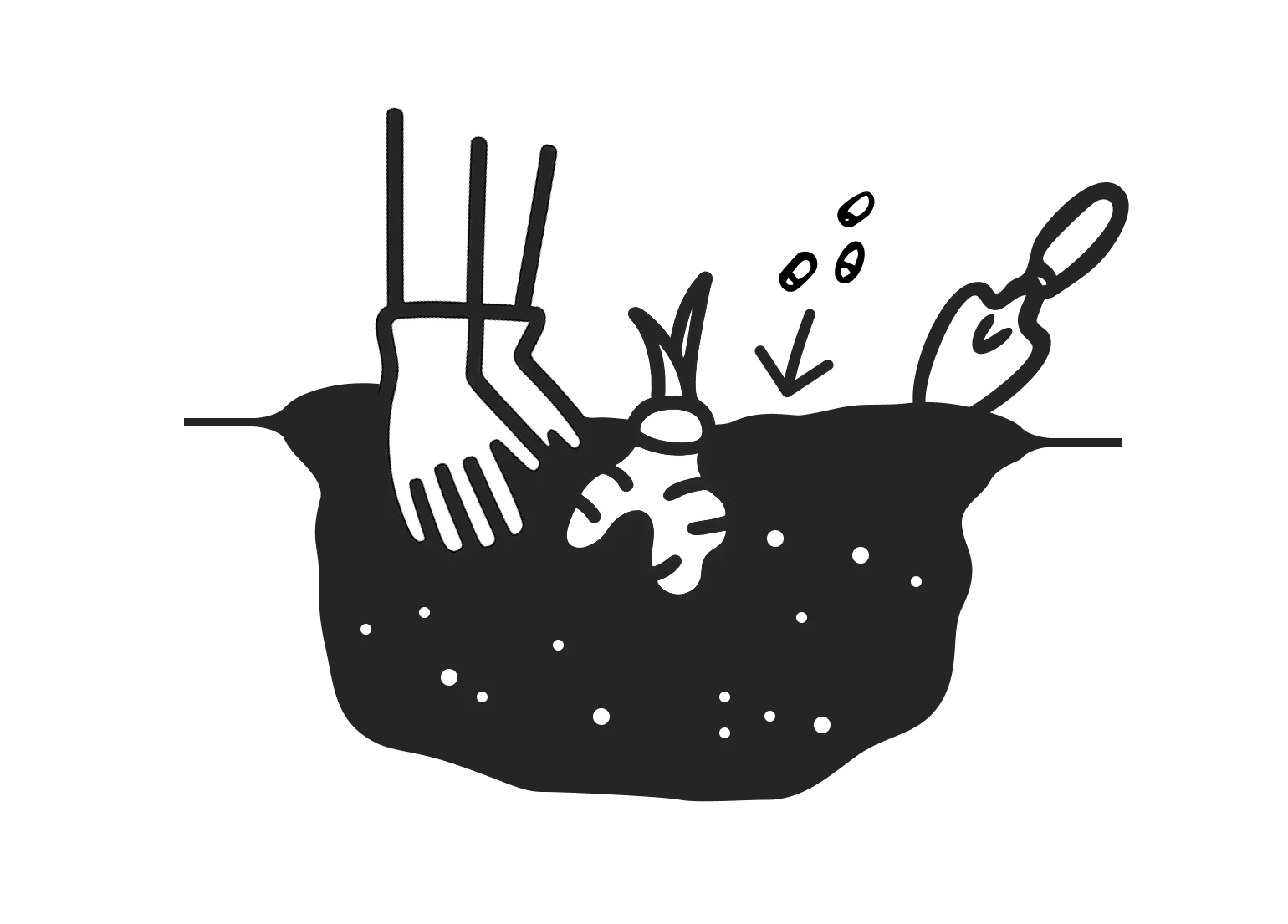 Erde düngen Illustration: Eingepflanzter Erdbeer-Wurzelstock wird gedüngt.