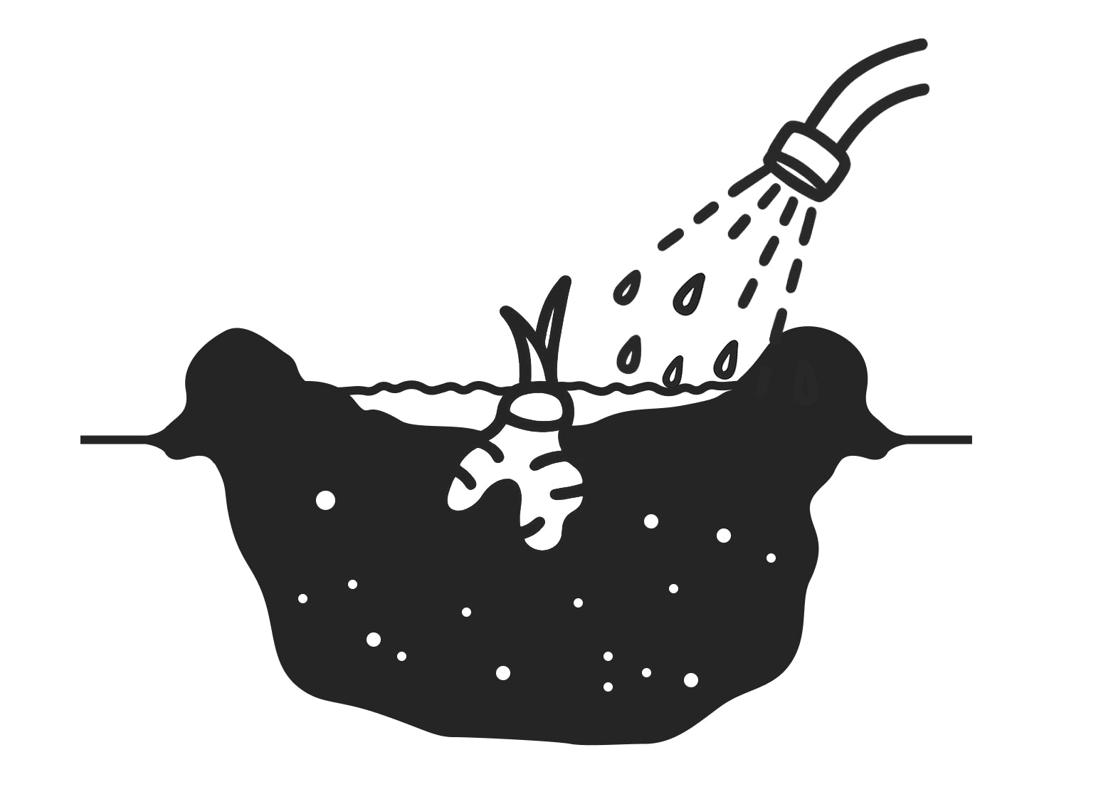 Erde angießen Illustration: Eingepflanzte Allium wird angegossen.