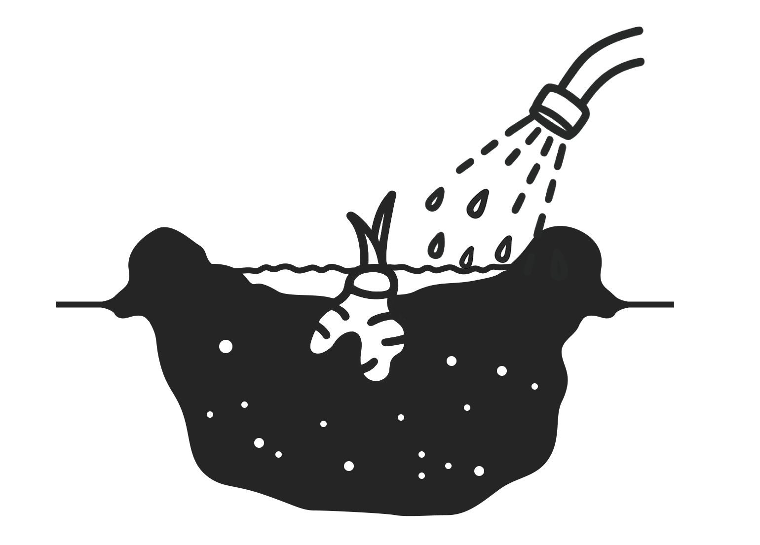 Erde angießen Illustration: Wurzelstock in der Erde gießen.