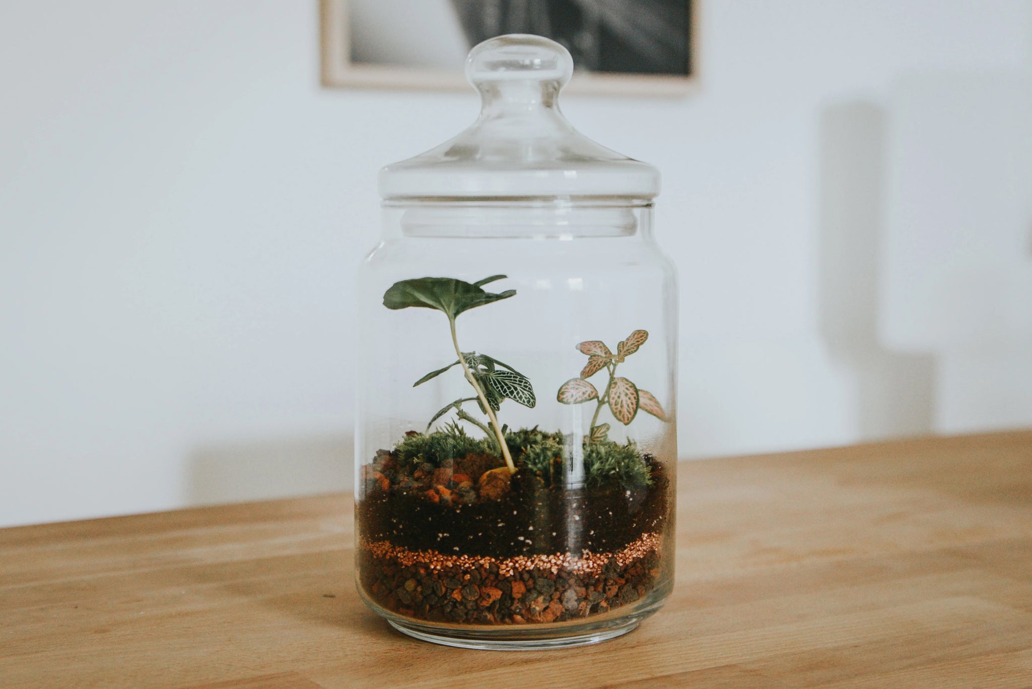 masonjar.jpg__PID:568b5f64-de2a-465c-b579-6cc7cc74f20d