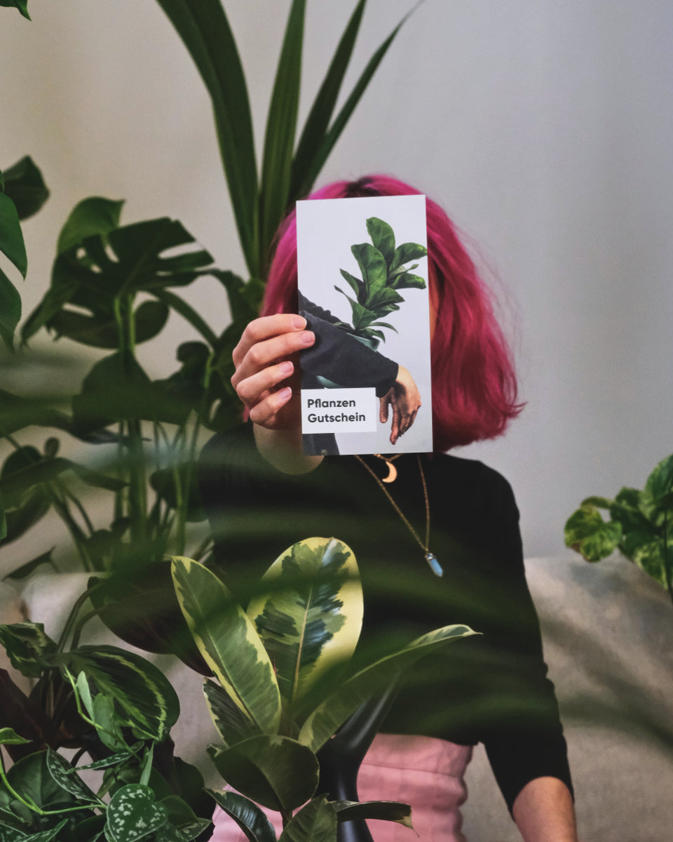 Vani sitzt zwischen Pflanzen und hält einen feey-Gutschein mit Ficus-Bild in die Kamera