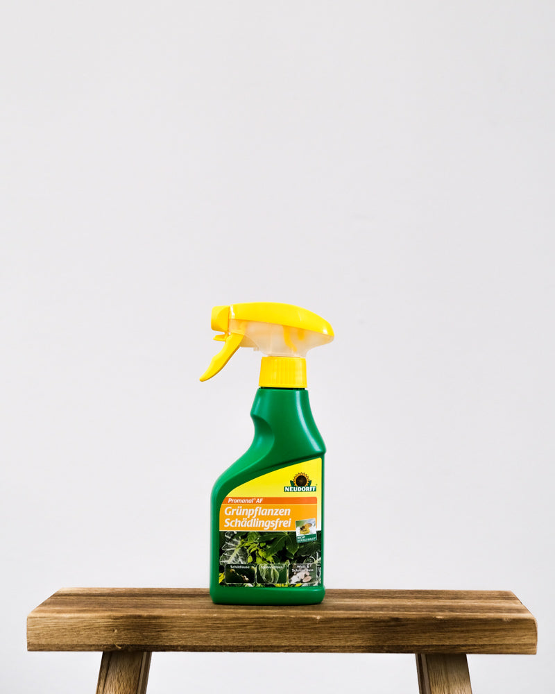 Spray gegen Schädlinge